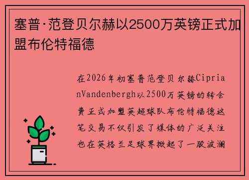 塞普·范登贝尔赫以2500万英镑正式加盟布伦特福德 塞普·范登贝尔赫以2500万英镑正式加盟布伦特福德